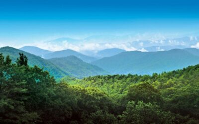 Why Blue Ridge, Georgia Is a Great Place to Visit